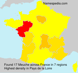 Surname Meuche in France