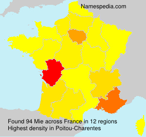 Surname Mie in France