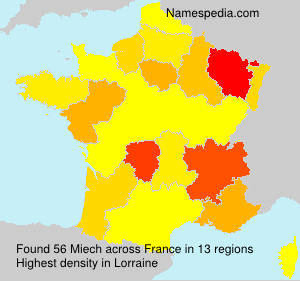 Surname Miech in France