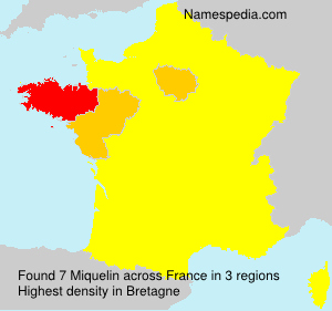 Surname Miquelin in France