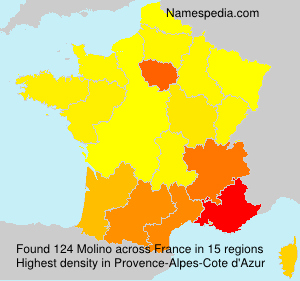 Surname Molino in France