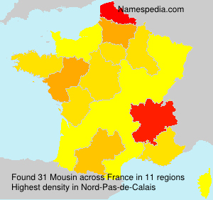 Surname Mousin in France
