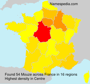 Surname Mouze in France