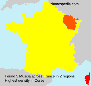 Surname Muscia in France