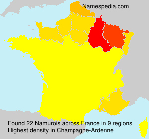 Surname Namurois in France