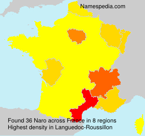 Surname Naro in France