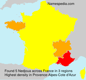 Surname Nedjoua in France