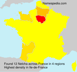 Surname Nelcha in France