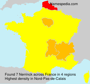 Surname Nerrinck in France