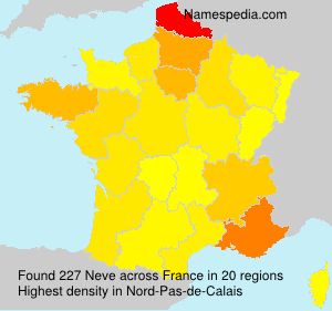 Surname Neve in France