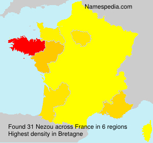 Surname Nezou in France