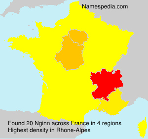 Surname Nginn in France