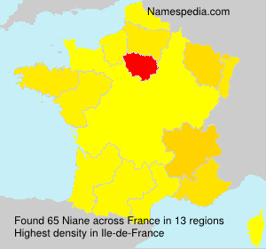Surname Niane in France