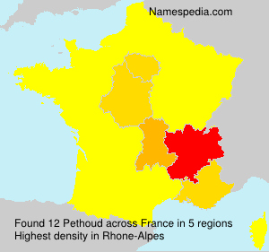 Surname Pethoud in France