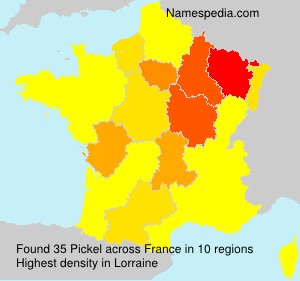 Surname Pickel in France