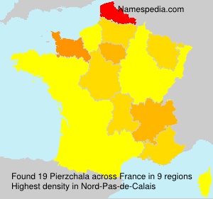 Surname Pierzchala in France