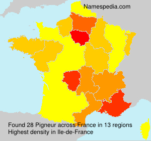 Surname Pigneur in France