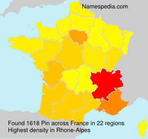 Surname Pin in France