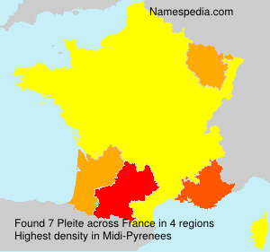 Surname Pleite in France