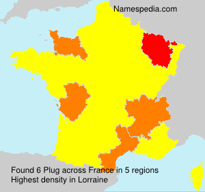 Surname Plug in France