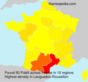 Surname Pubill in France