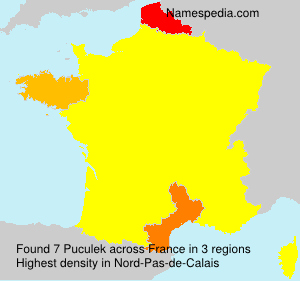 Surname Puculek in France