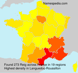 Surname Reig in France