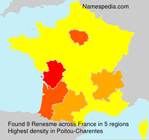 Surname Renesme in France