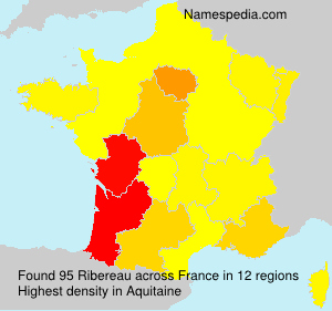 Surname Ribereau in France
