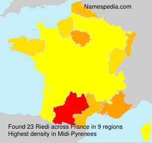 Surname Riedi in France