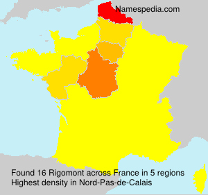 Surname Rigomont in France