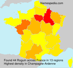 Surname Roguin in France