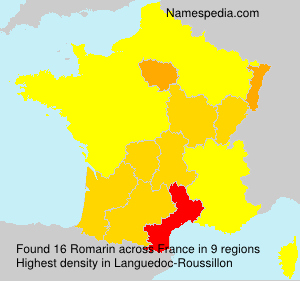 Surname Romarin in France