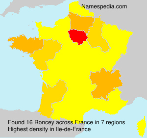 Surname Roncey in France