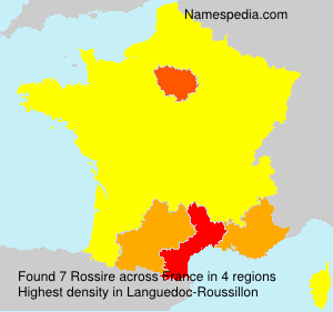 Surname Rossire in France