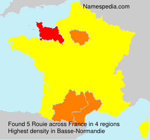 Surname Rouie in France