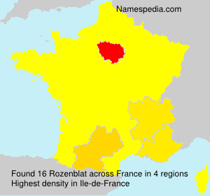 Surname Rozenblat in France