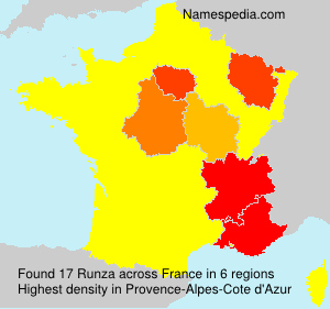 Surname Runza in France
