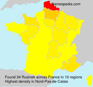 Surname Rusinek in France