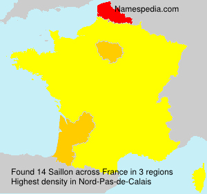 Surname Saillon in France