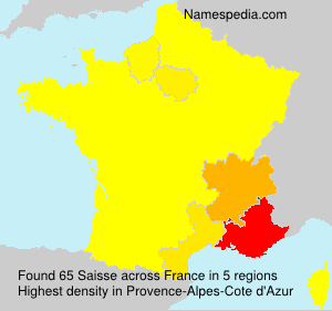 Surname Saisse in France