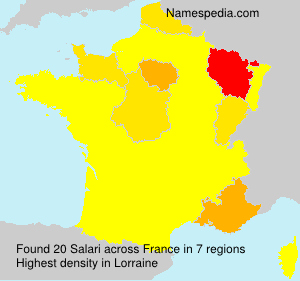 Surname Salari in France