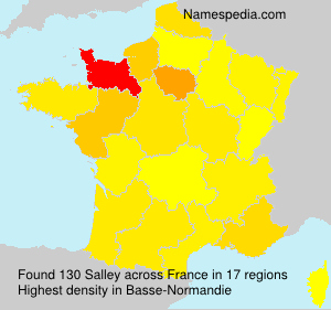 Surname Salley in France