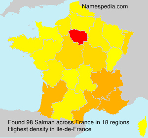 Surname Salman in France