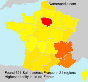 Surname Salmi in France