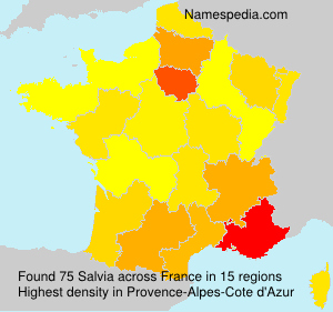 Surname Salvia in France