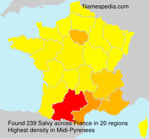 Surname Salvy in France