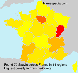 Surname Sauvin in France