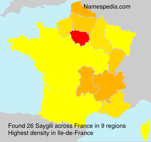 Surname Saygili in France