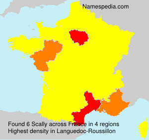 Surname Scally in France